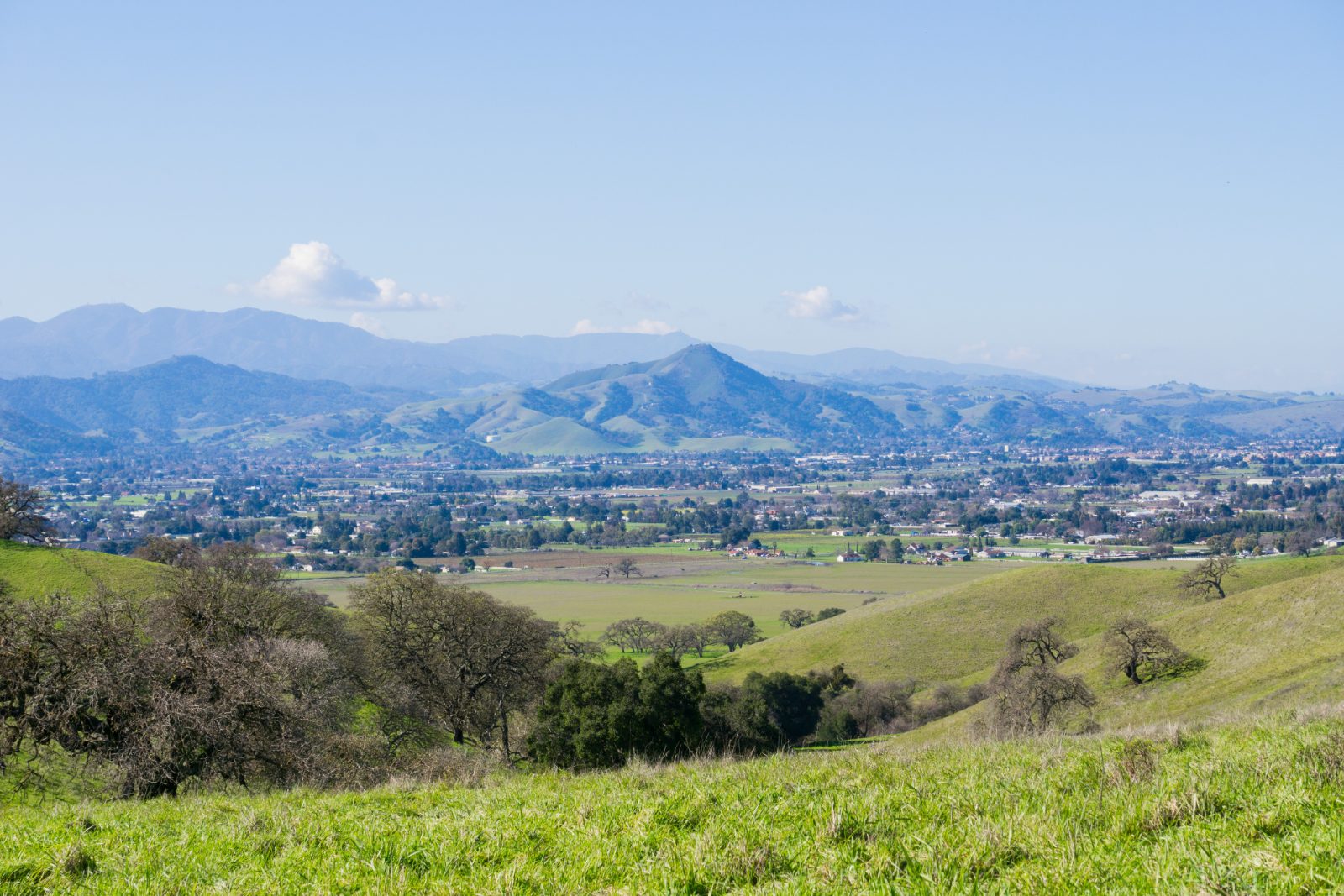The Santa Clara Valley seen from the green hills above town, on a clear day